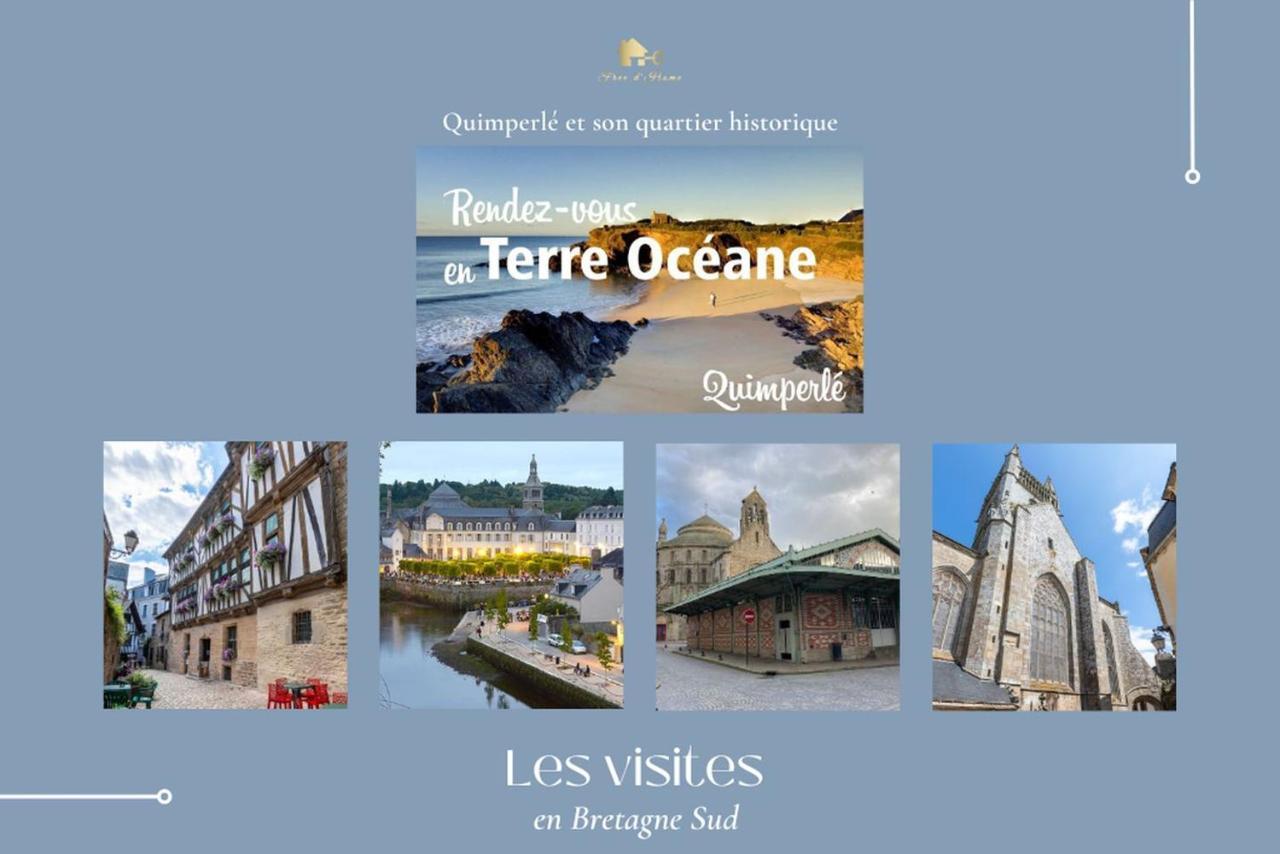 Le Tiguidou, Cosy, Lumineux, 2-6 Pers, Plage 300M Moëlan-sur-Mer エクステリア 写真