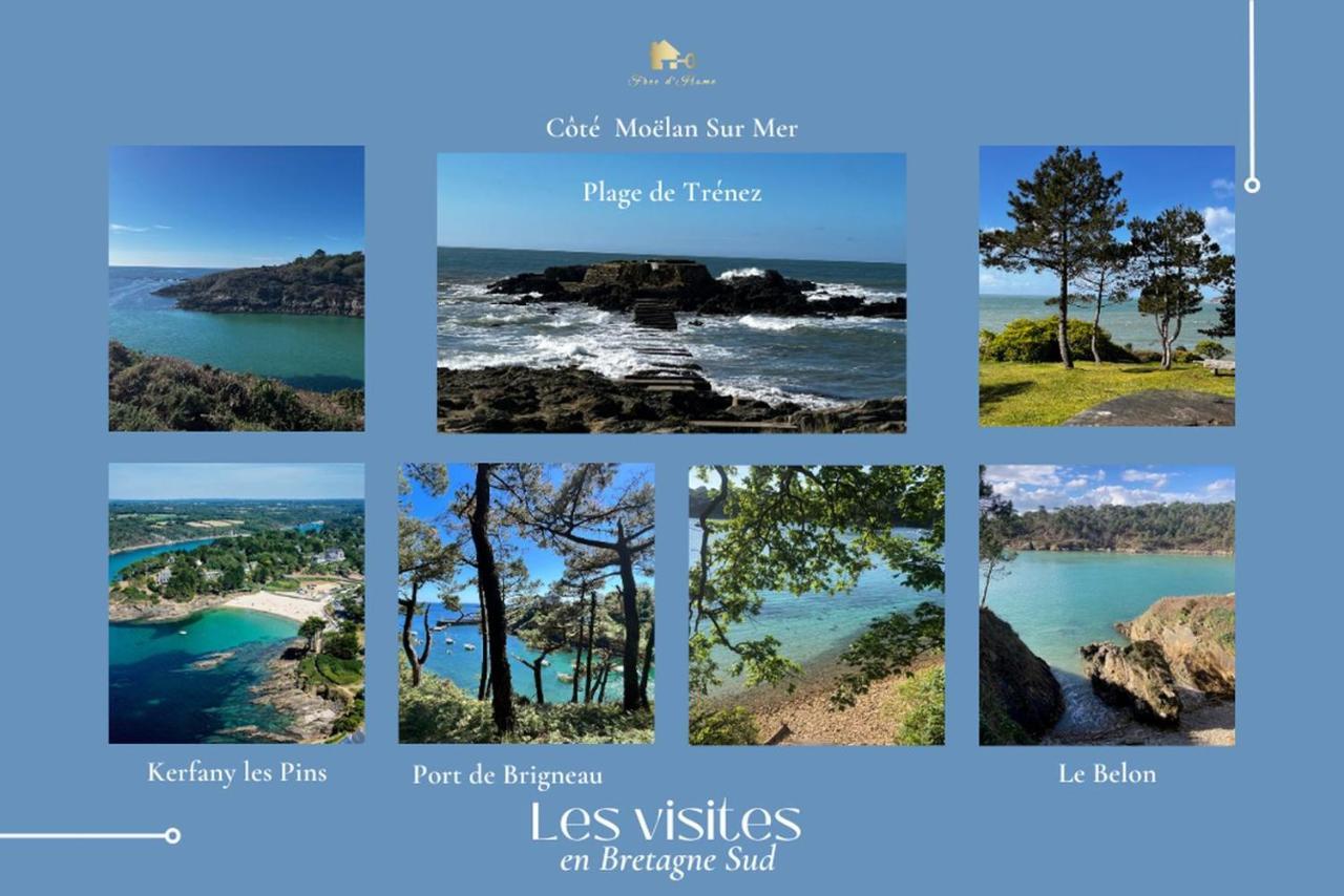 Le Tiguidou, Cosy, Lumineux, 2-6 Pers, Plage 300M Moëlan-sur-Mer エクステリア 写真