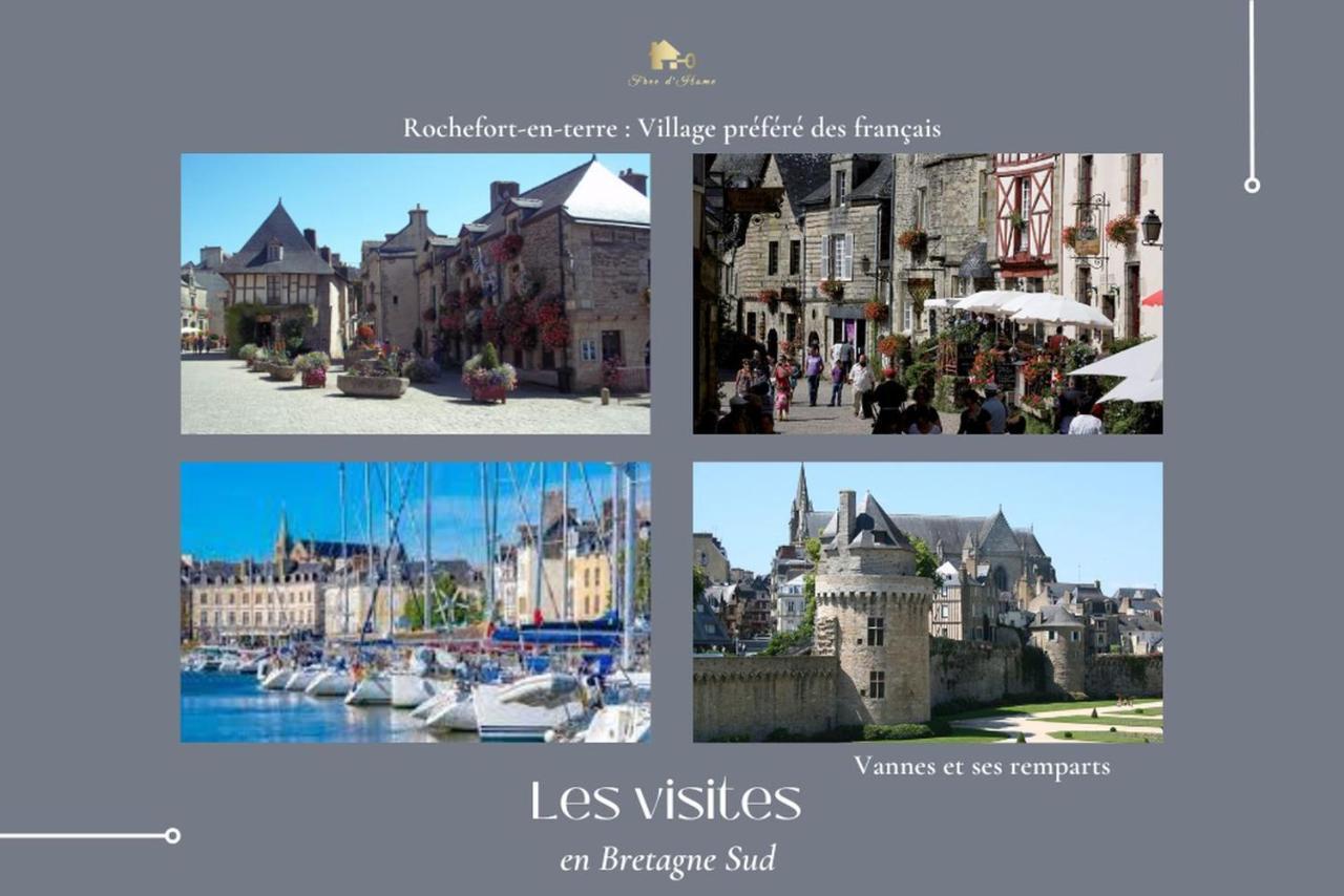 Le Tiguidou, Cosy, Lumineux, 2-6 Pers, Plage 300M Moëlan-sur-Mer エクステリア 写真
