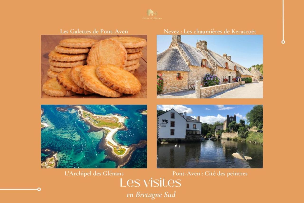 Le Tiguidou, Cosy, Lumineux, 2-6 Pers, Plage 300M Moëlan-sur-Mer エクステリア 写真